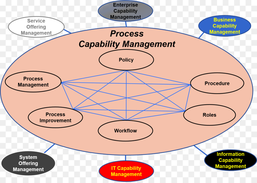 Organización，La Arquitectura Del Proceso De PNG