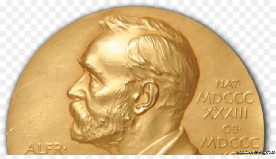 El Premio Nobel De Química，Premio Nobel PNG