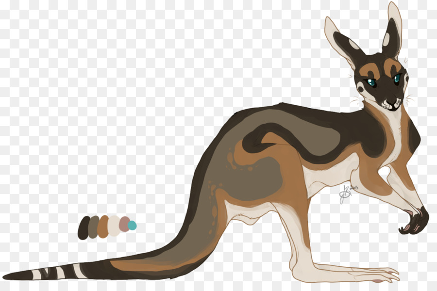 Canguro，Perro PNG