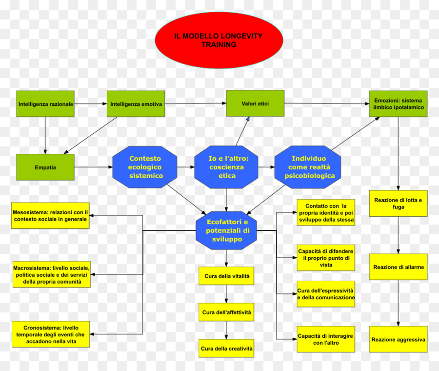 La Inteligencia Emocional，La Emoción PNG