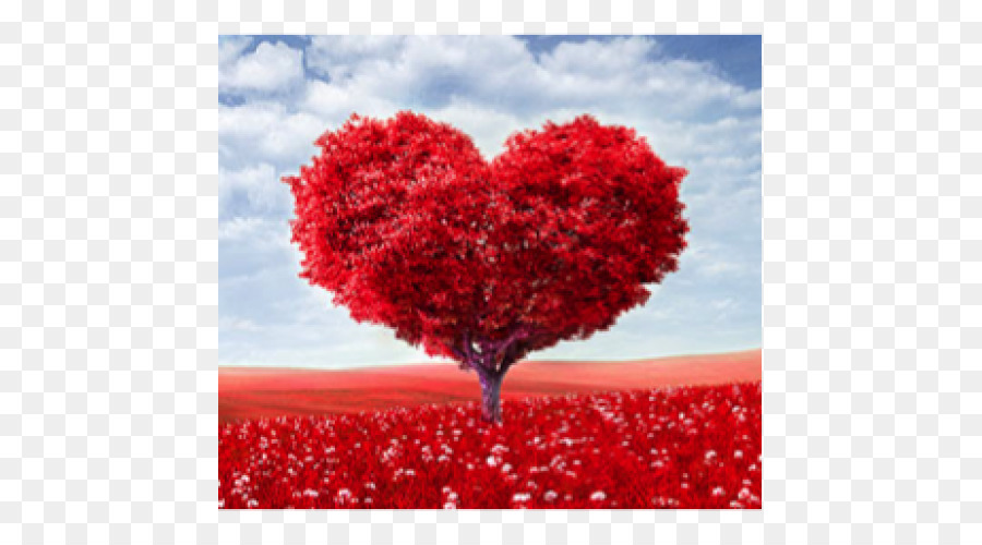 árbol Del Corazón，árbol PNG