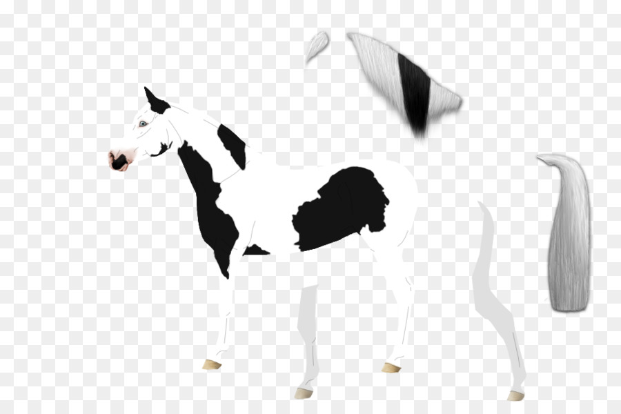 Caballo，Blanco PNG