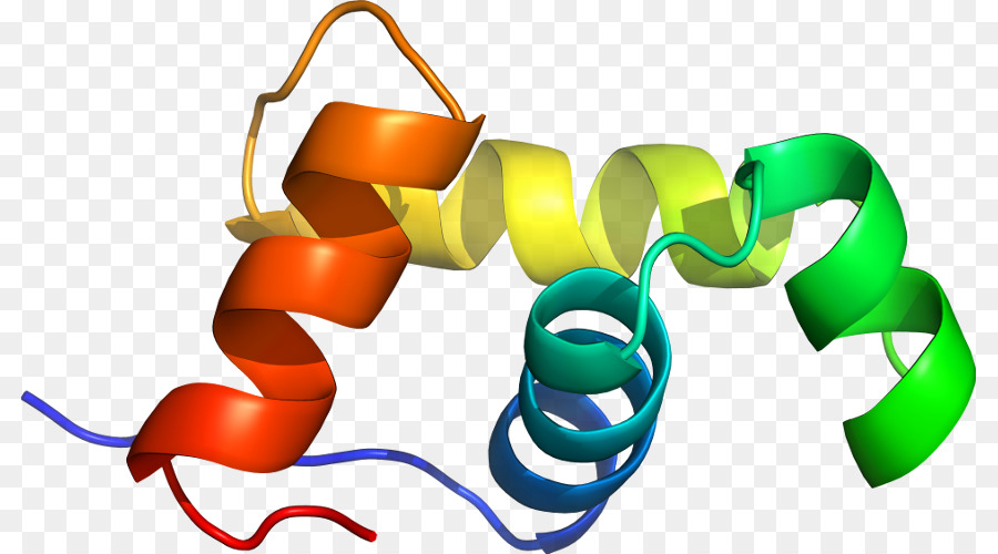 Hélice De Proteína，Molécula PNG