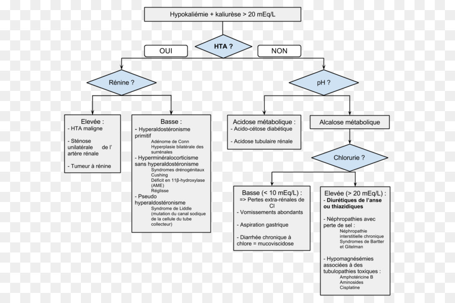 Diagrama De Flujo，Médico PNG