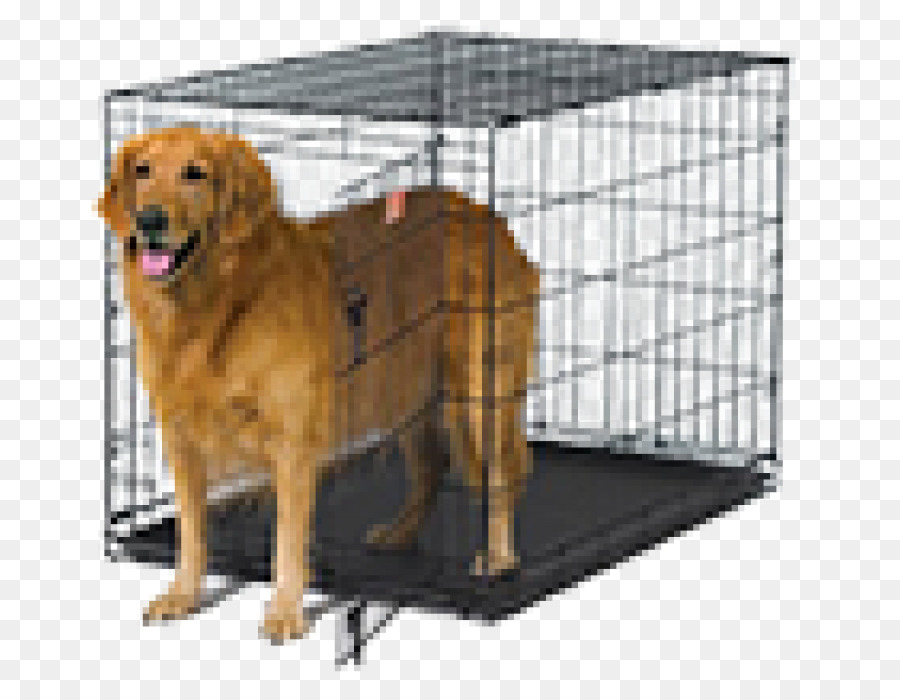 Cajas De Perro，Raza De Perro PNG