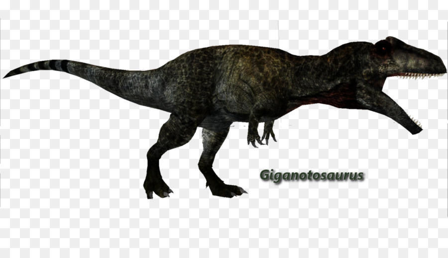 Gigantosauro，Argentinosaurus PNG