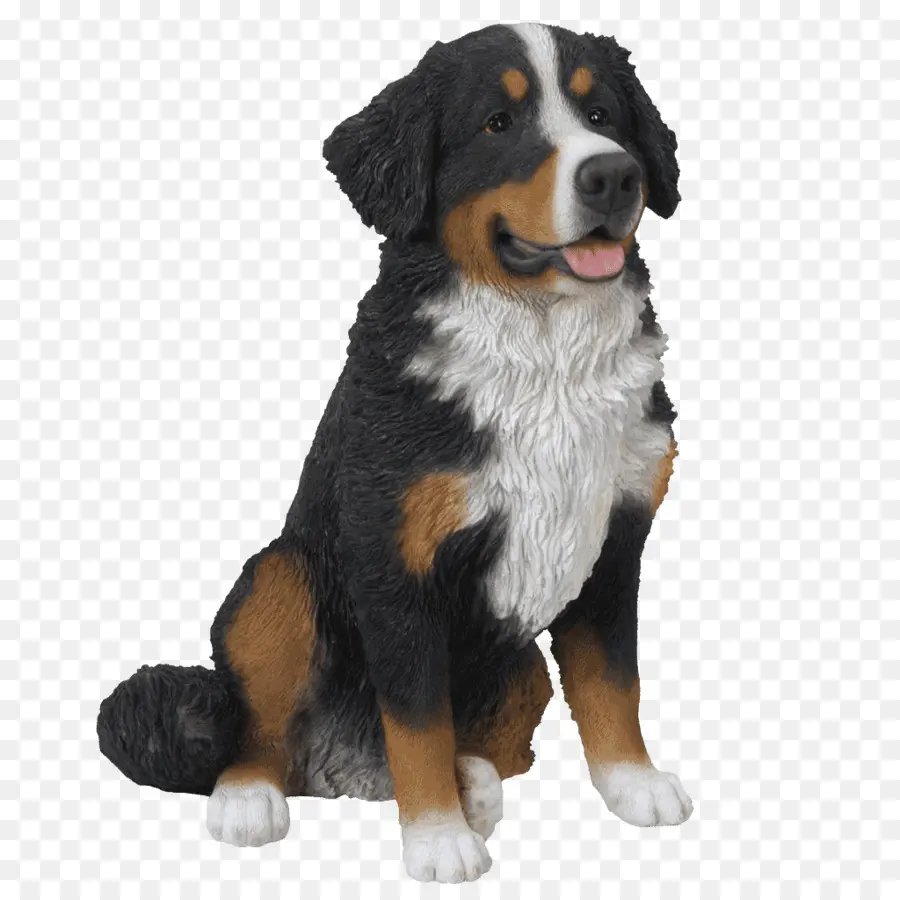 Perro De Montaña De Berna，Negro PNG