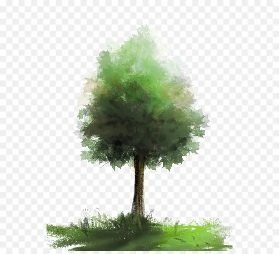 Cepillo，árbol PNG