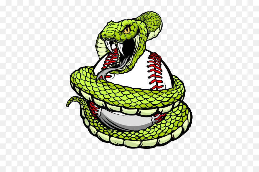 Serpiente Y Béisbol，Serpiente PNG