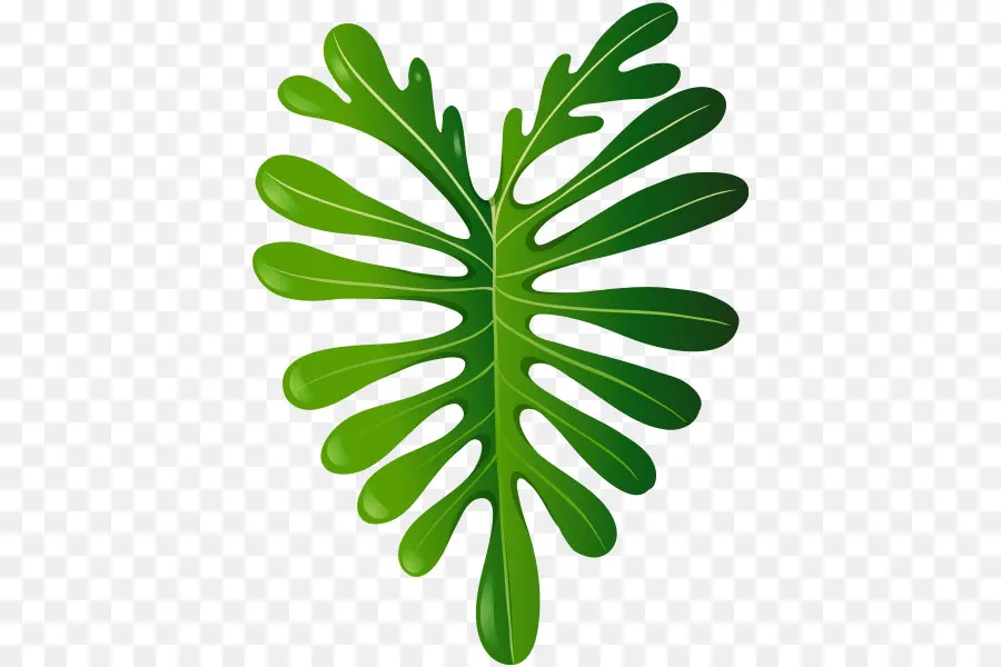 Hoja，Planta PNG