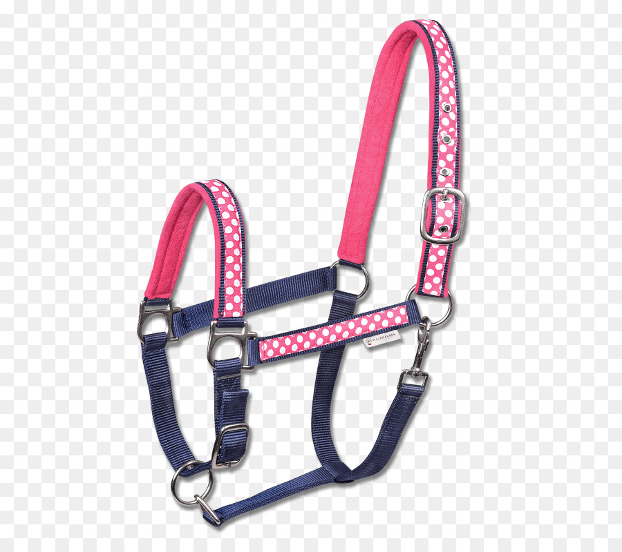 Caballo，Halter PNG