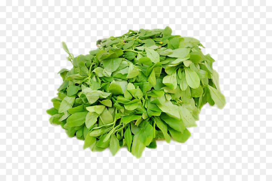 Mezclum，Lechuga PNG