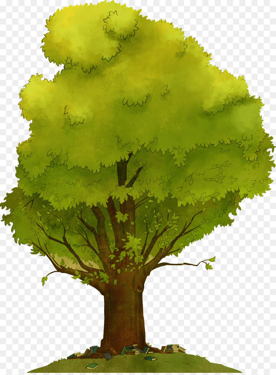 árbol Verde，Hojas PNG