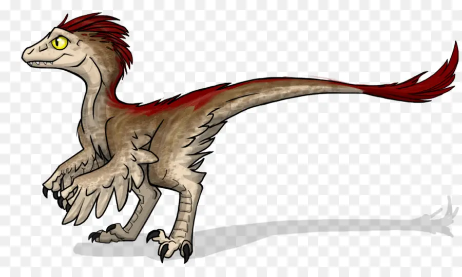 Velociraptor，Deinonychus PNG