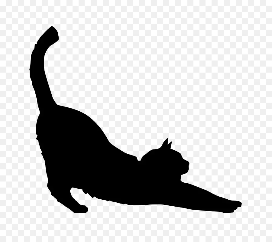 Gato，Gato Negro PNG