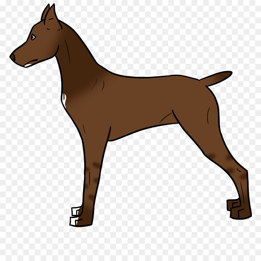 Raza De Perro，Dobermann PNG