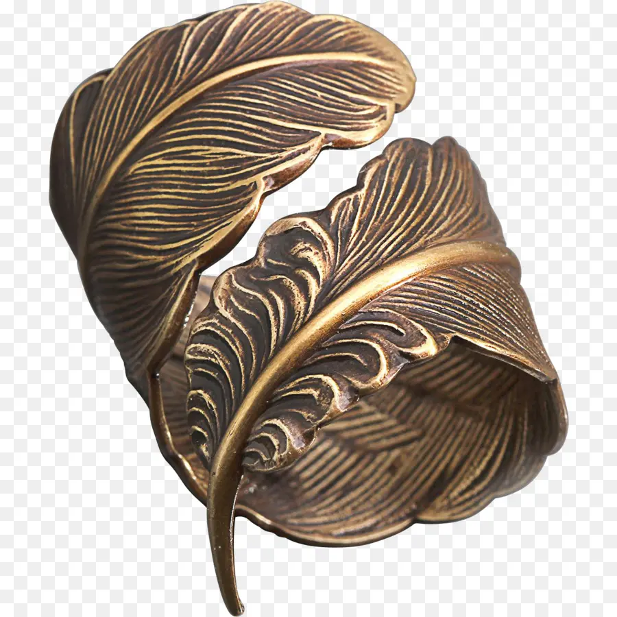 Anillo De Plumas，Bronce PNG