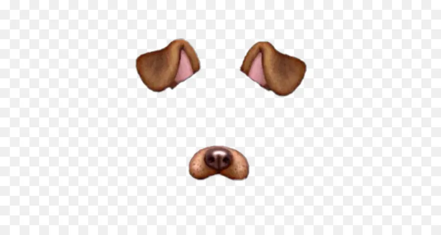 Cachorro，Snapchat PNG