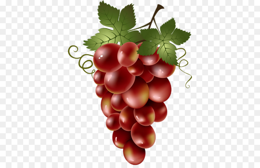 Común De La Uva De La Vid，Vino PNG