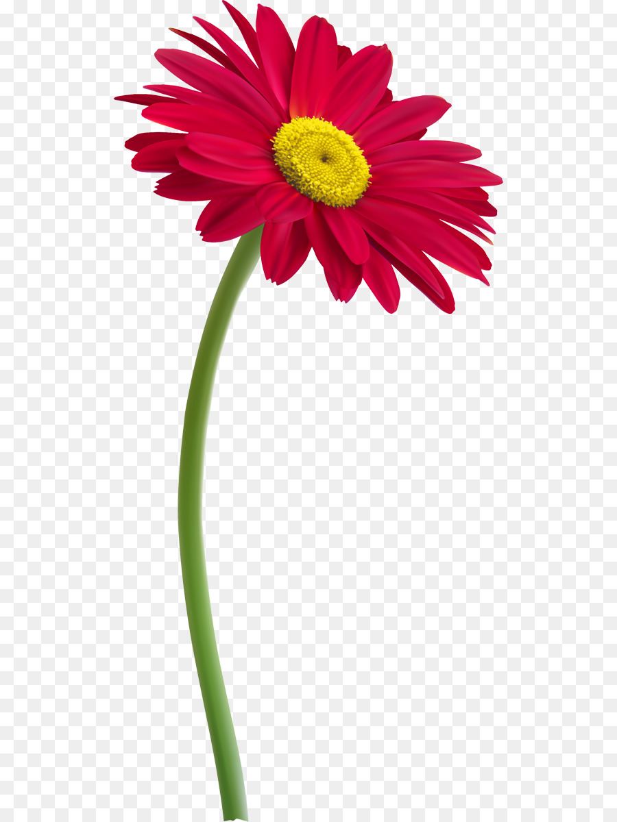 Flor，Tallo De La Planta PNG