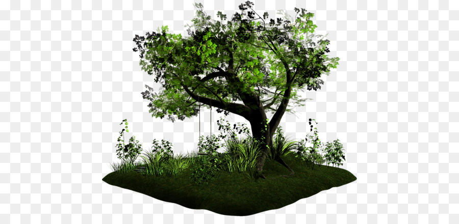 árbol Verde，Naturaleza PNG