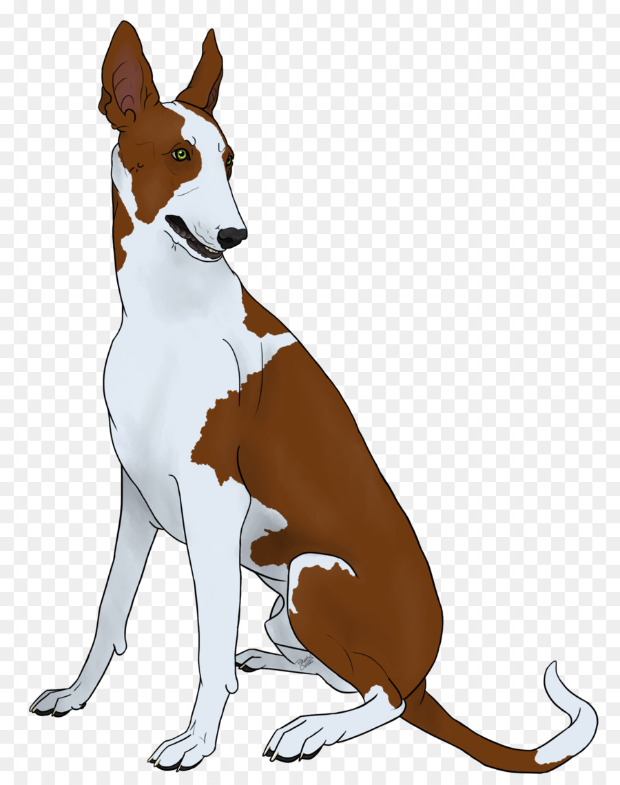 Raza De Perro，Basenji PNG