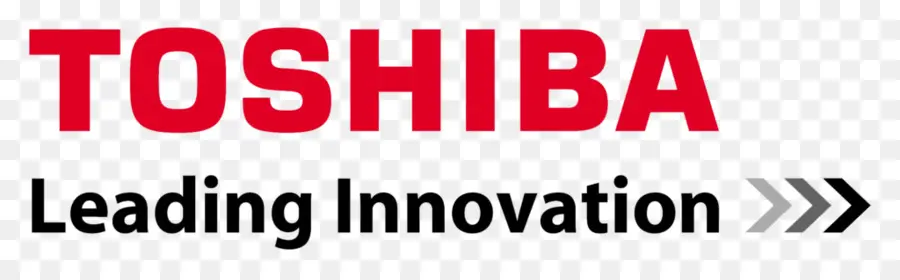 Toshiba，Negocio PNG