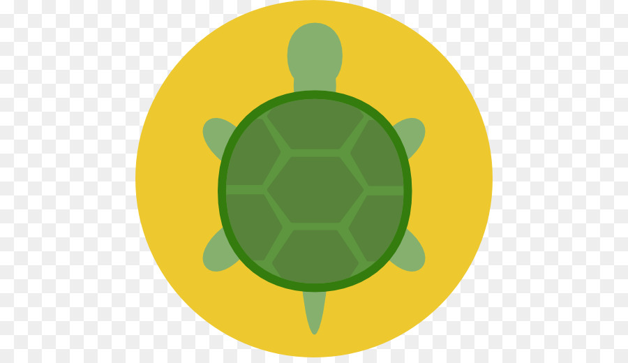 Tortuga，Verde PNG