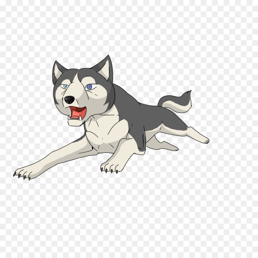 Husky Siberiano，Gato PNG