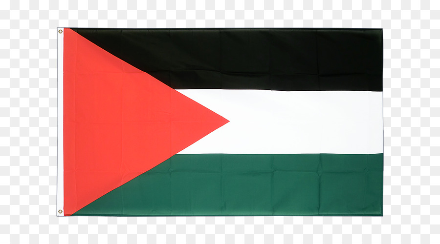 Estado De Palestina，Bandera De Palestina PNG