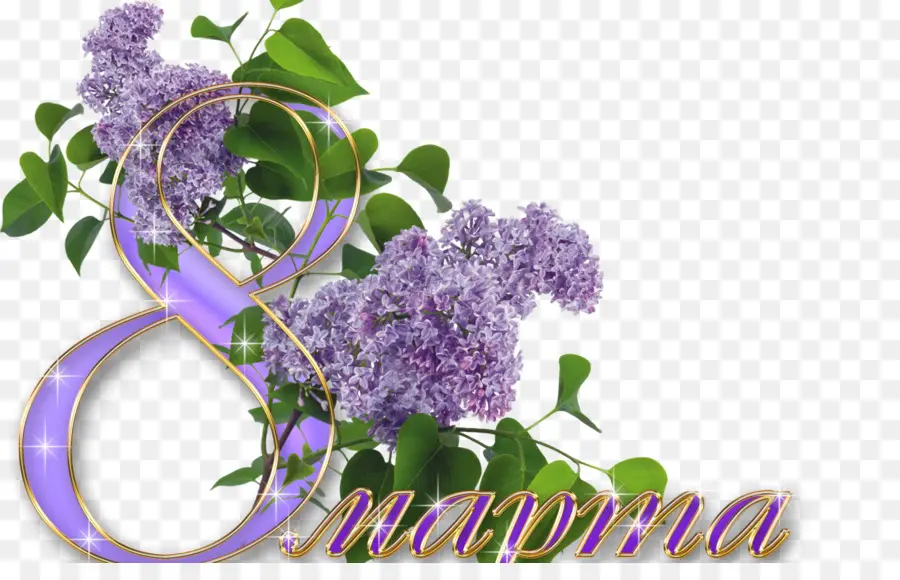 Flores Moradas，Lila PNG