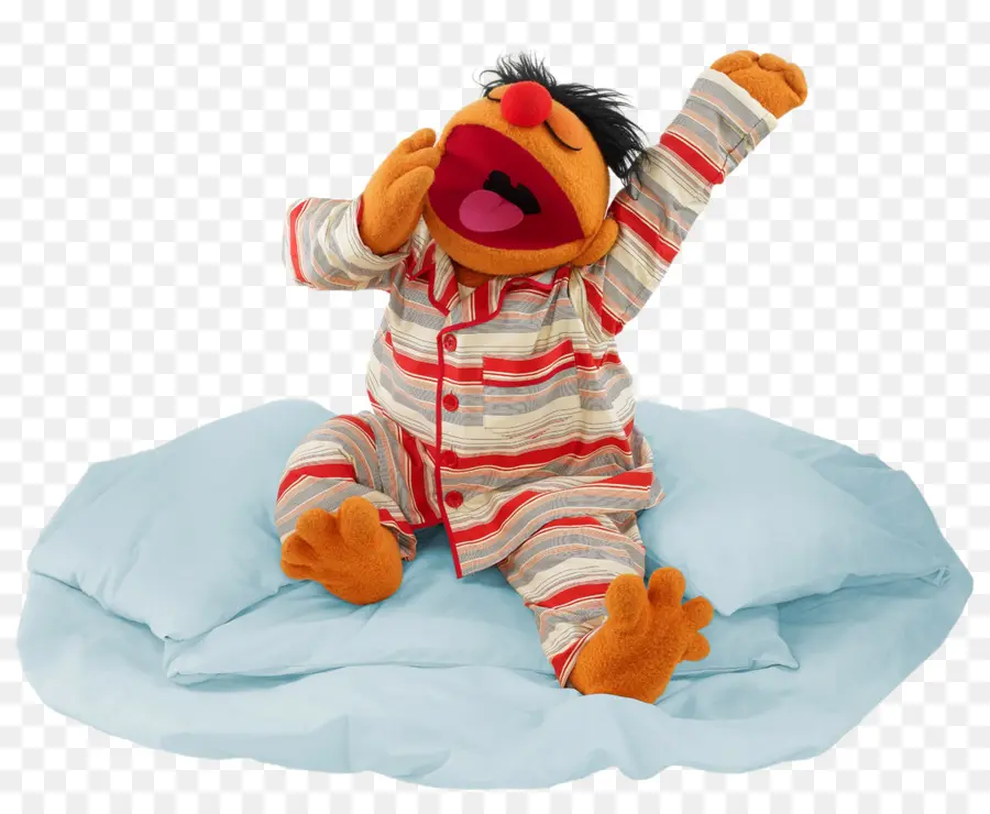 Enrique，Bert PNG