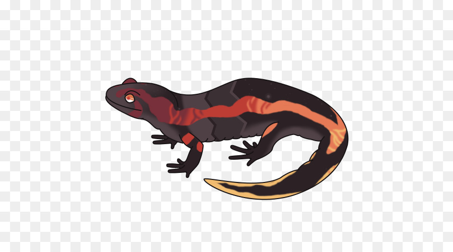 Salamandra，Reptiles PNG