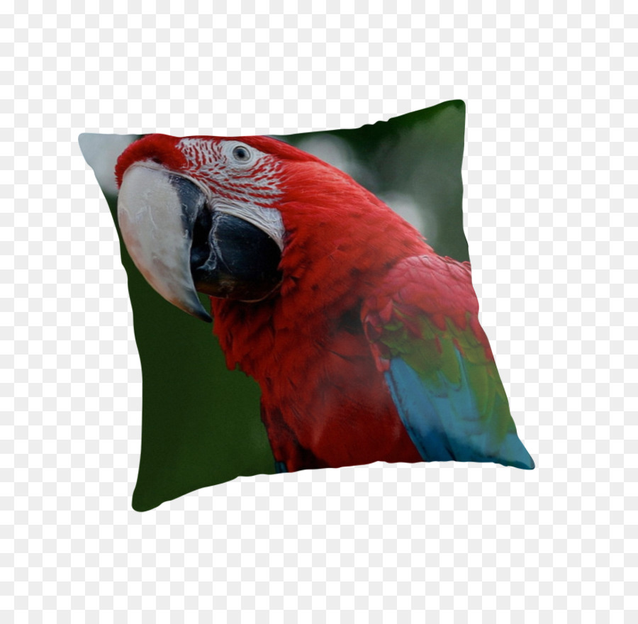 Cojín，Almohadas PNG