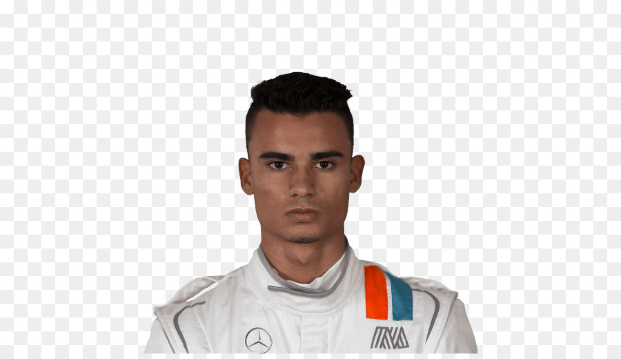 Pascal Wehrlein，Copa Del Mundo Fifa 2010 PNG