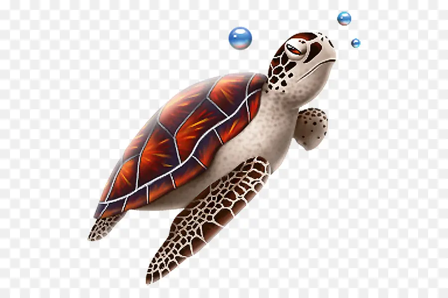 Tortuga，Reptiles PNG