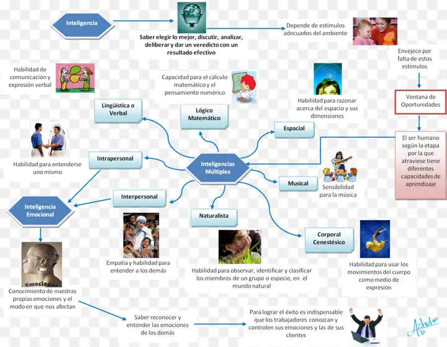 Diagrama De Inteligencias Múltiples，Educación PNG