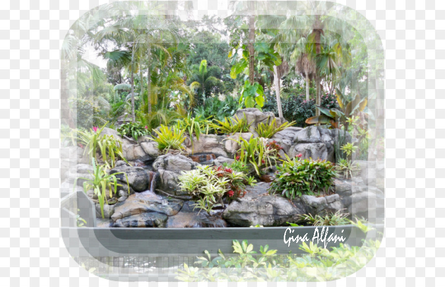 Jardín，Jardinería PNG