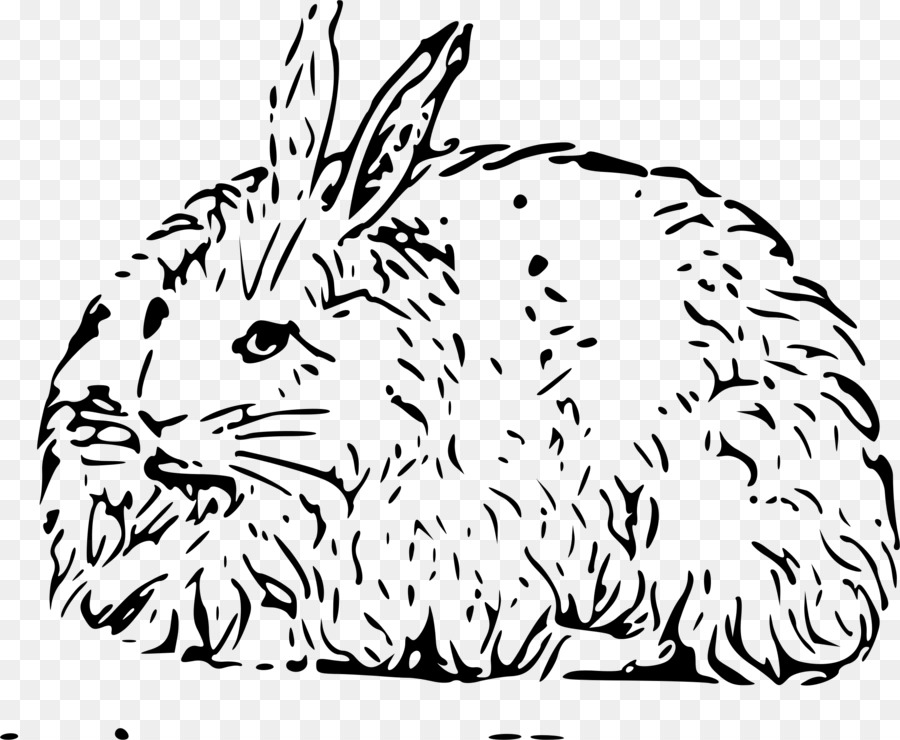 Conejo De Angora，Conejito De Pascua PNG