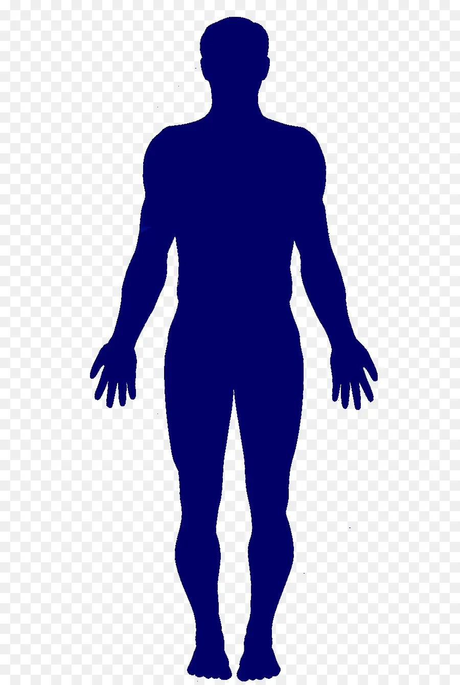 Silueta Humana，Cuerpo PNG