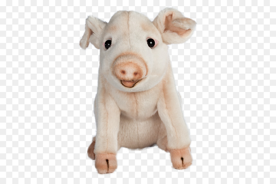 Cerdo Doméstico，Animales De Peluche Juguetes De Peluche PNG