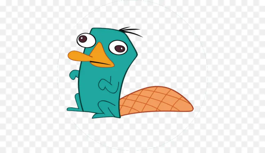 Perry El Ornitorrinco，El Ornitorrinco PNG