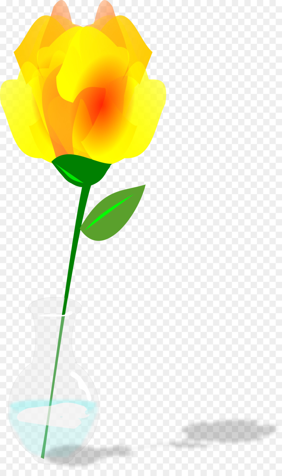 Amarillo，Flor PNG