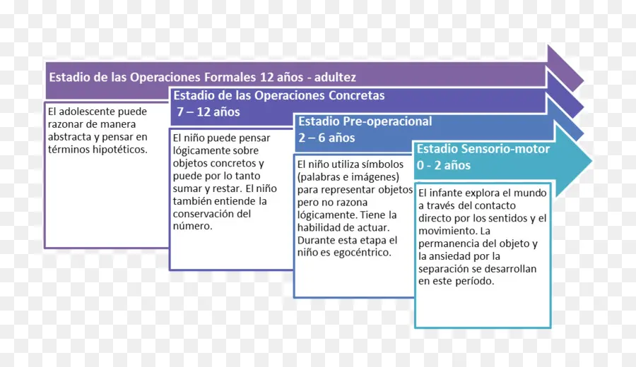 Desarrollo Cognitivo，Cognición PNG