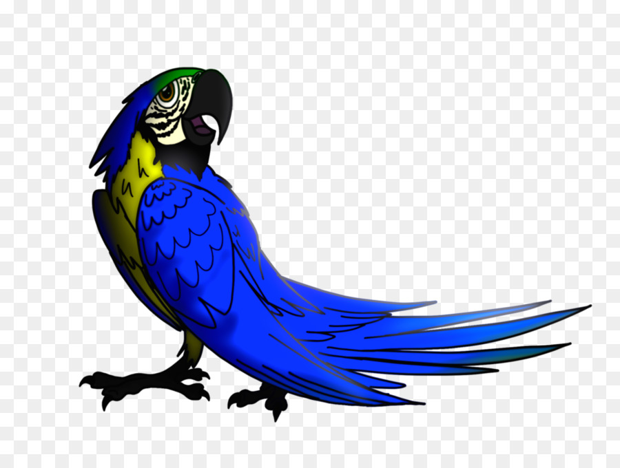 Guacamayo，Parrot PNG