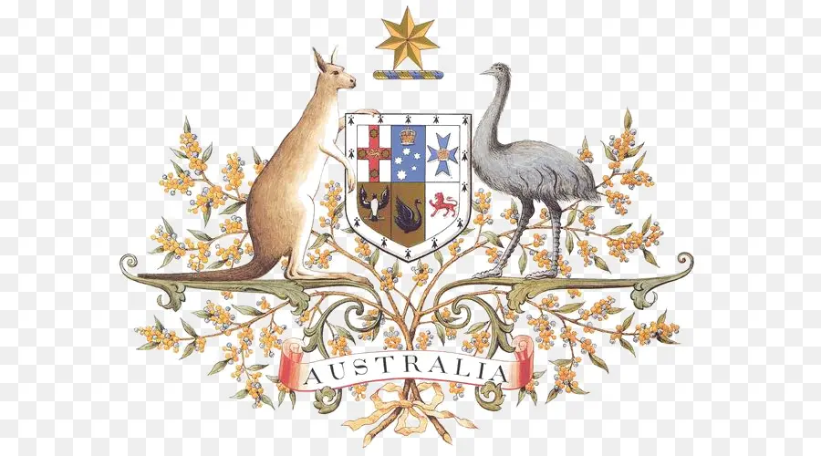 Escudo De Armas Australiano，Emblema PNG