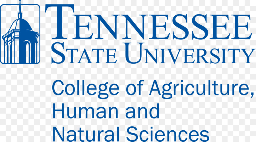 La Universidad Estatal De Tennessee，East Tennessee State University PNG