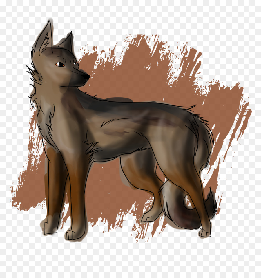 Raza De Perro，Dingo PNG