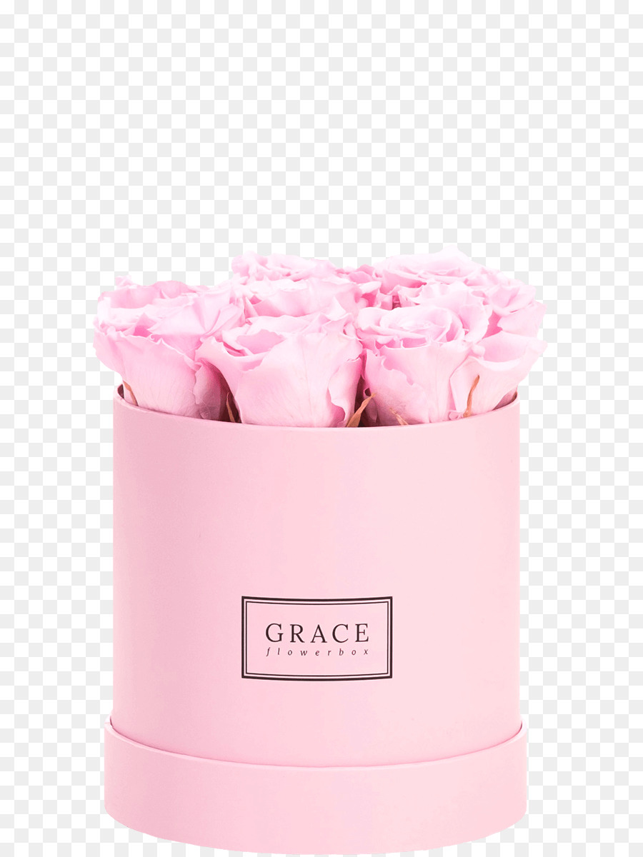 Rosas Rosadas，Ramo PNG