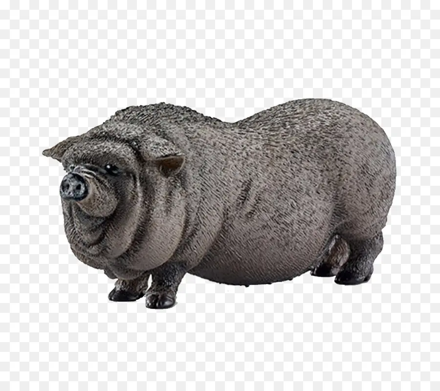 Cerdo，Gris PNG